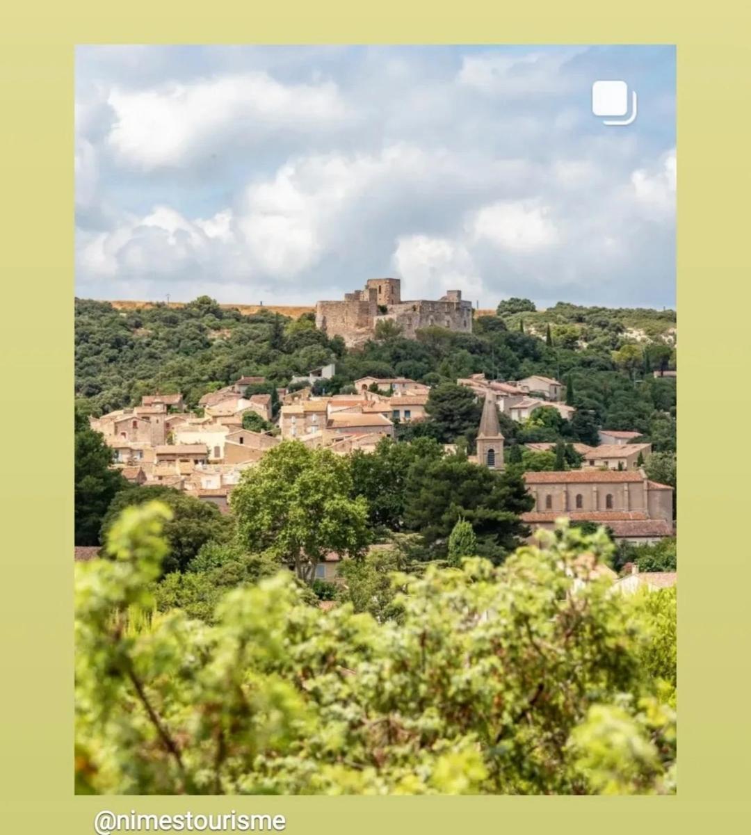 Au Mazet Du Parc Bed & Breakfast Ledenon Luaran gambar
